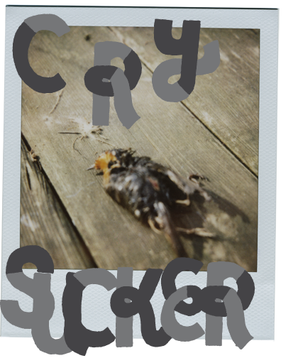 sucker.png