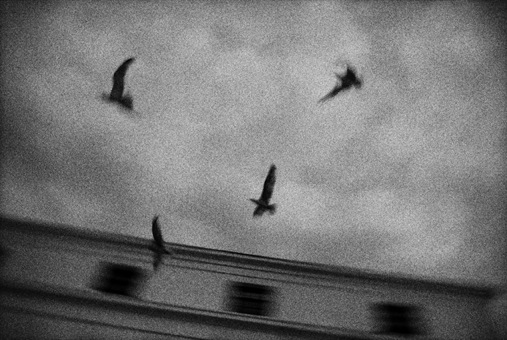 http://www.glc-photographie.com/